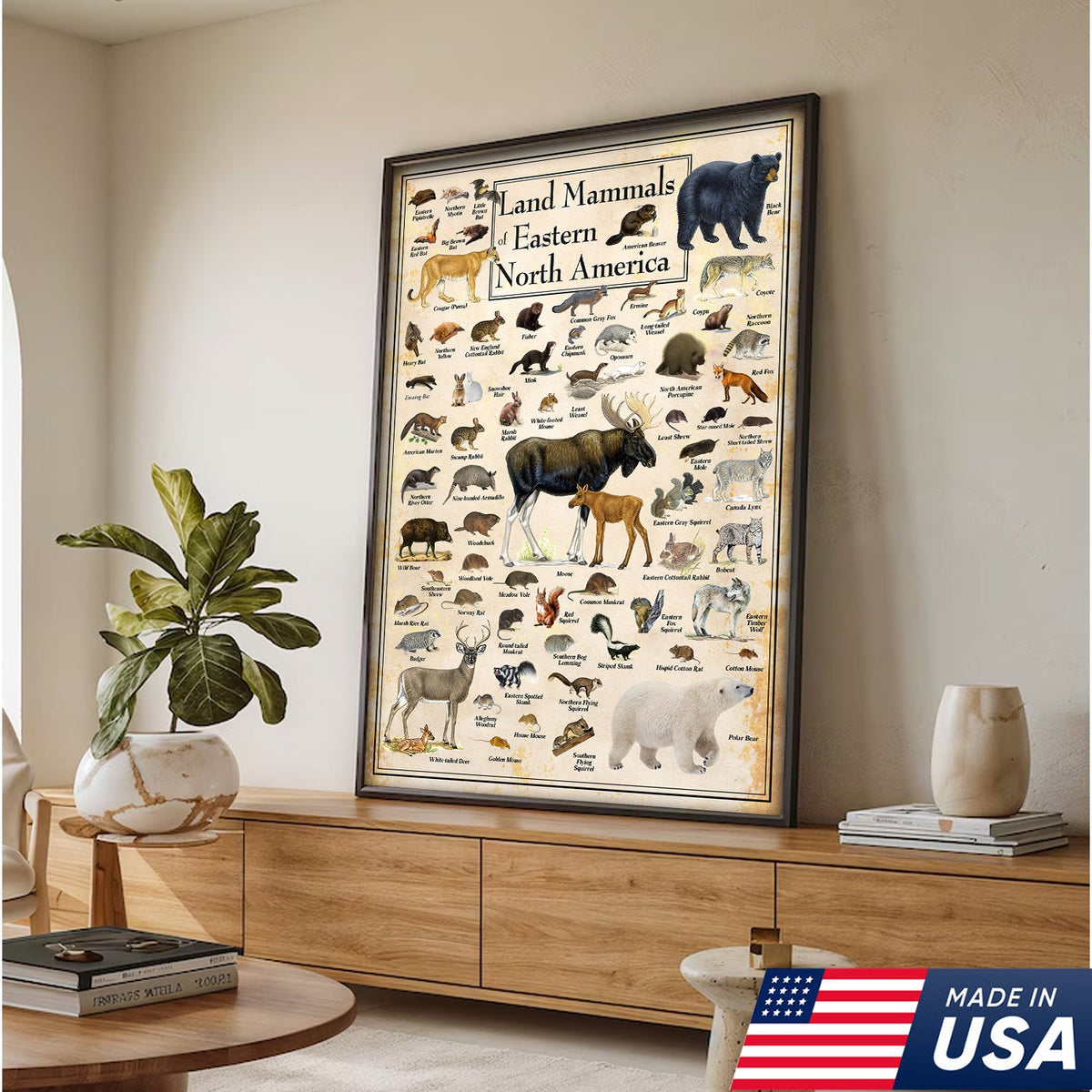 Educational Land Mammals of Eastern North America Canvas Wall Art – Vintage Wildlife Nature Canvas