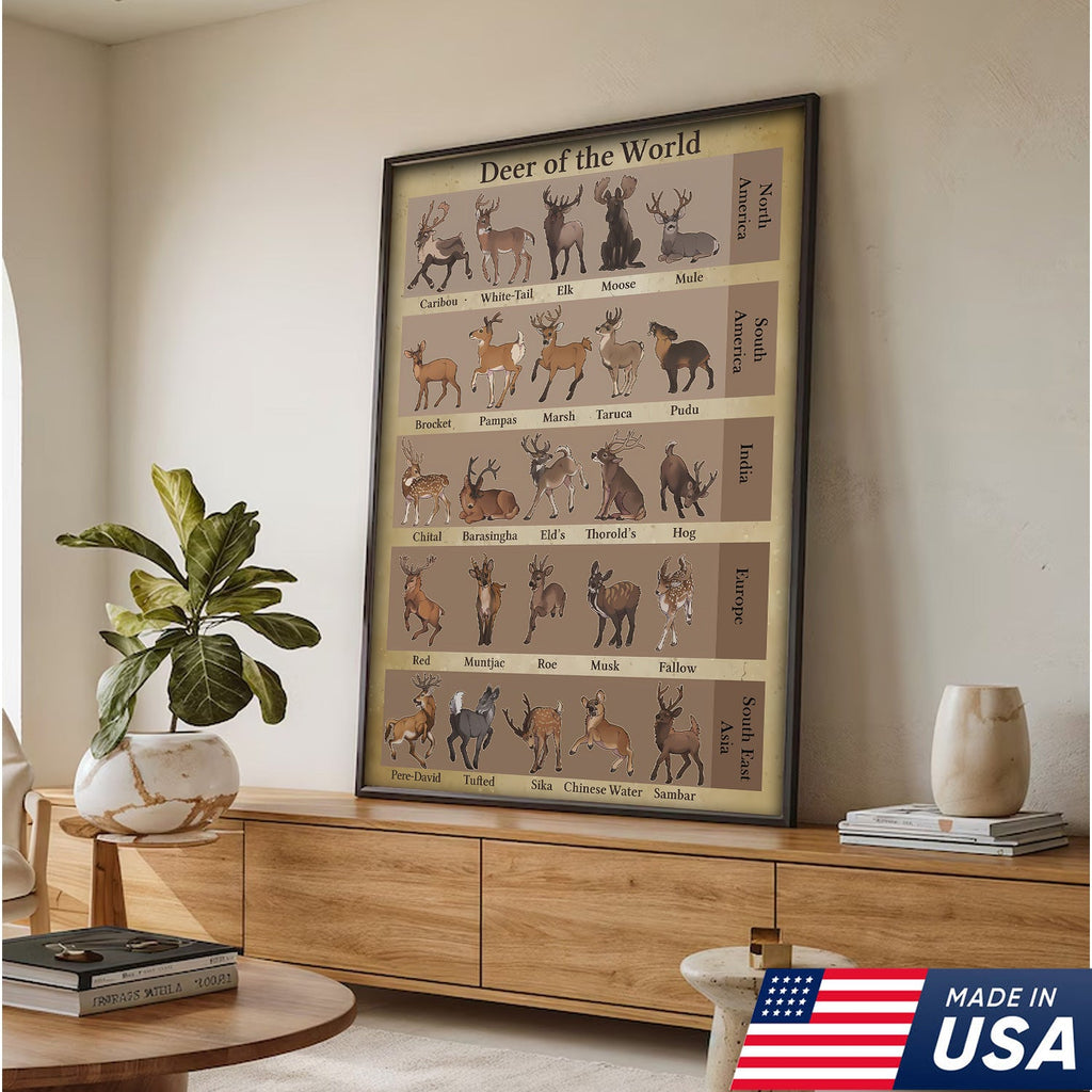 Deer of the World Canvas, Deer Species Educational Chart Wall Art, Kids Classroom & Wildlife Decor