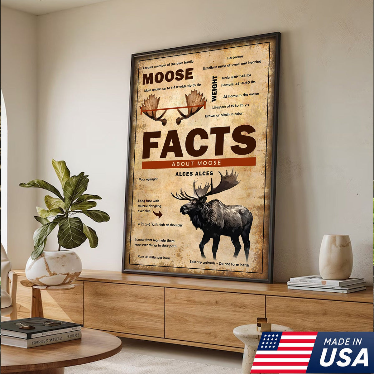 Moose Facts Wall Art Canvas – Educational Wildlife Wall Art for Hunters, Cabin & Nature Lovers
