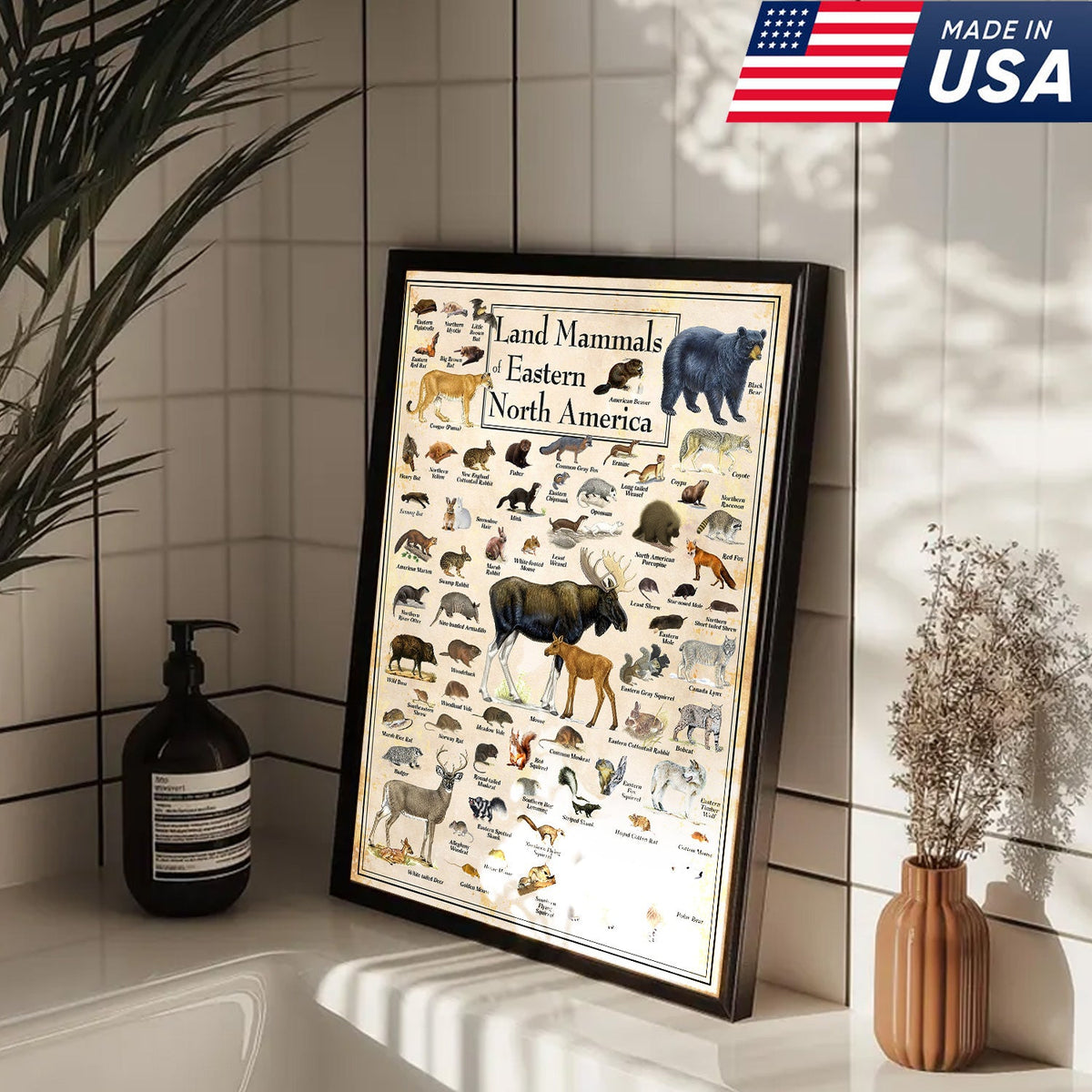 Educational Land Mammals of Eastern North America Canvas Wall Art – Vintage Wildlife Nature Canvas