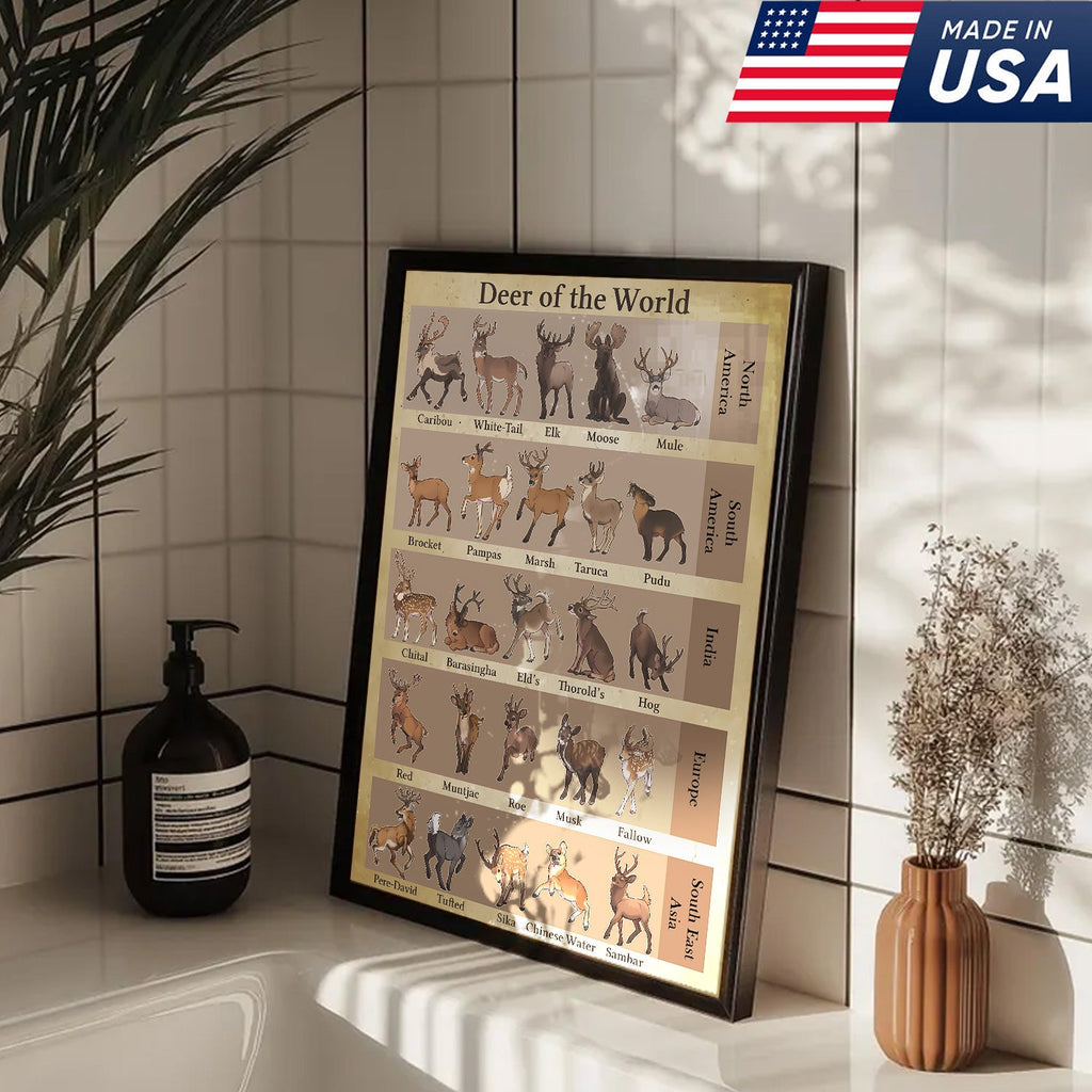 Deer of the World Canvas, Deer Species Educational Chart Wall Art, Kids Classroom & Wildlife Decor