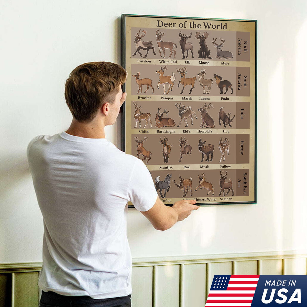 Deer of the World Canvas, Deer Species Educational Chart Wall Art, Kids Classroom & Wildlife Decor
