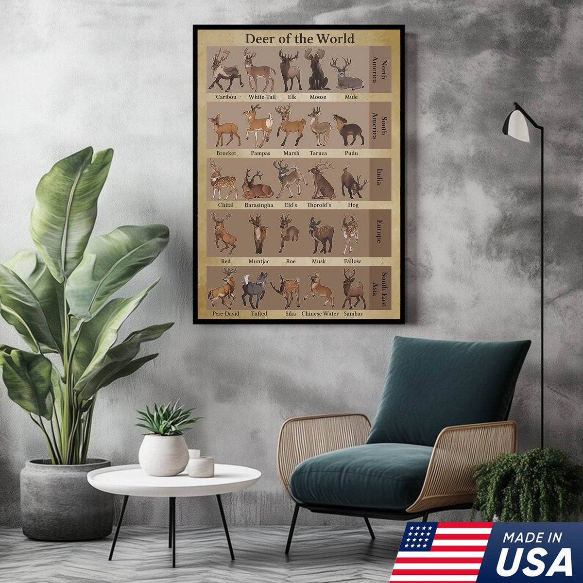 Deer of the World Canvas, Deer Species Educational Chart Wall Art, Kids Classroom & Wildlife Decor