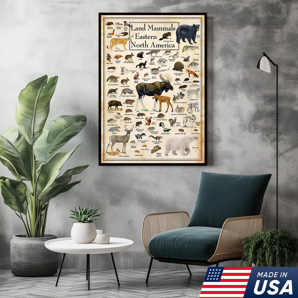 Educational Land Mammals of Eastern North America Canvas Wall Art – Vintage Wildlife Nature Canvas