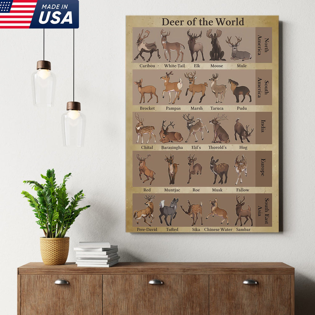 Deer of the World Canvas, Deer Species Educational Chart Wall Art, Kids Classroom & Wildlife Decor