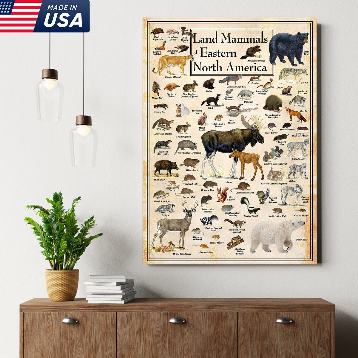 Educational Land Mammals of Eastern North America Canvas Wall Art – Vintage Wildlife Nature Canvas