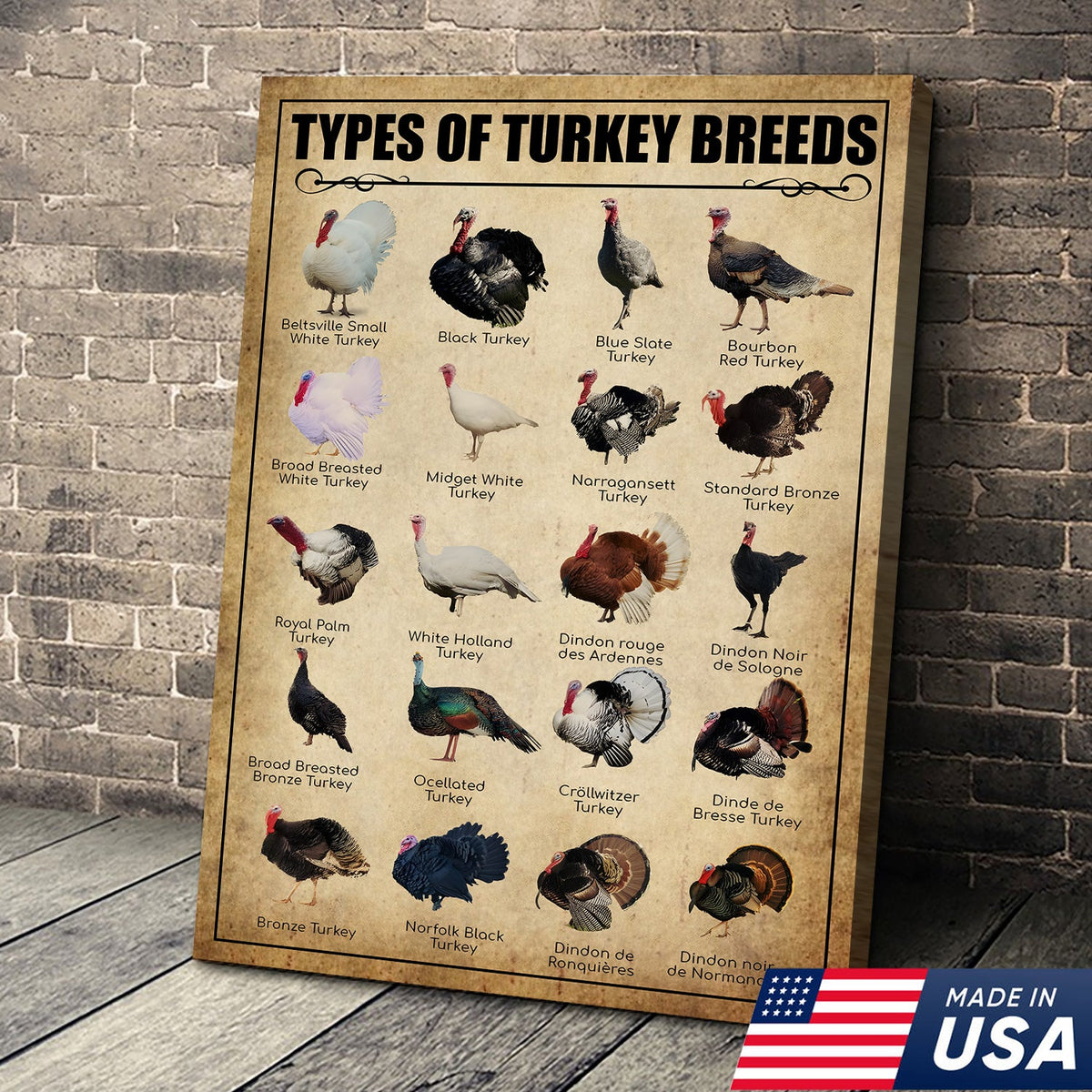 Turkey Breeds Knowlegde Canvas Wall Art – Farmhouse Poultry Guide Print – Rustic Country Decor