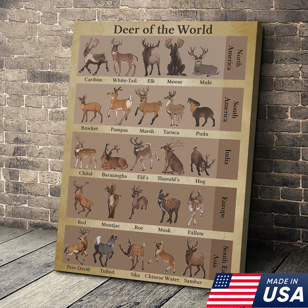 Deer of the World Canvas, Deer Species Educational Chart Wall Art, Kids Classroom & Wildlife Decor