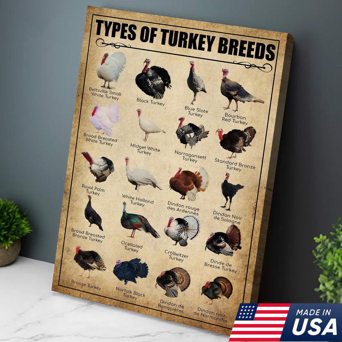 Turkey Breeds Knowlegde Canvas Wall Art – Farmhouse Poultry Guide Print – Rustic Country Decor
