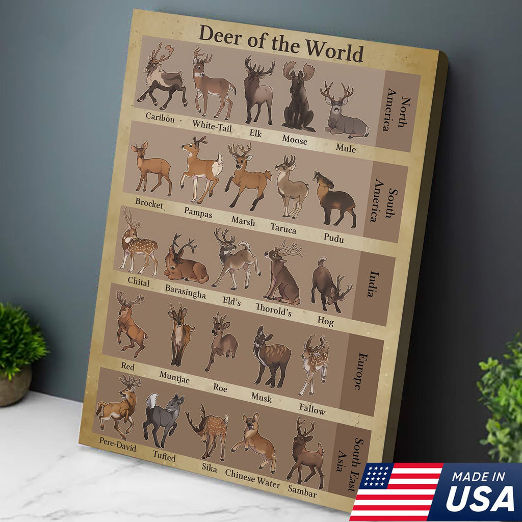 Deer of the World Canvas, Deer Species Educational Chart Wall Art, Kids Classroom & Wildlife Decor
