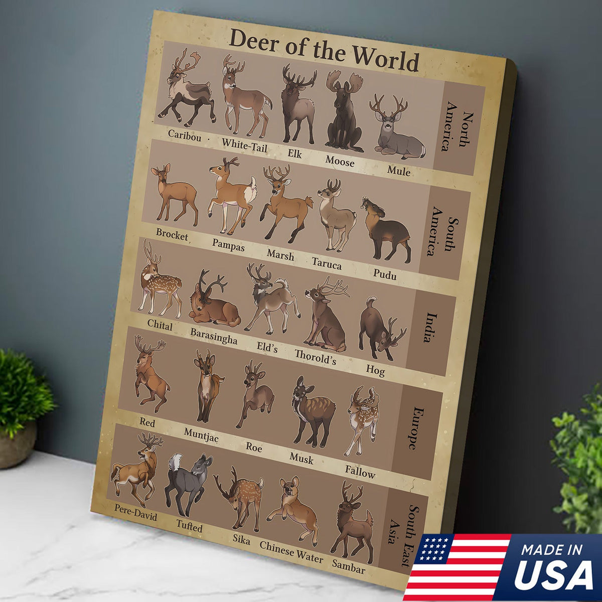 Deer of the World Canvas, Deer Species Educational Chart Wall Art, Kids Classroom & Wildlife Decor