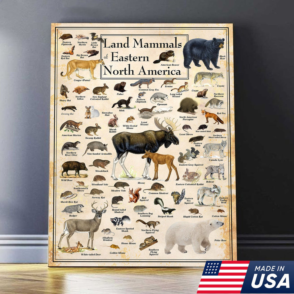 Educational Land Mammals of Eastern North America Canvas Wall Art – Vintage Wildlife Nature Canvas