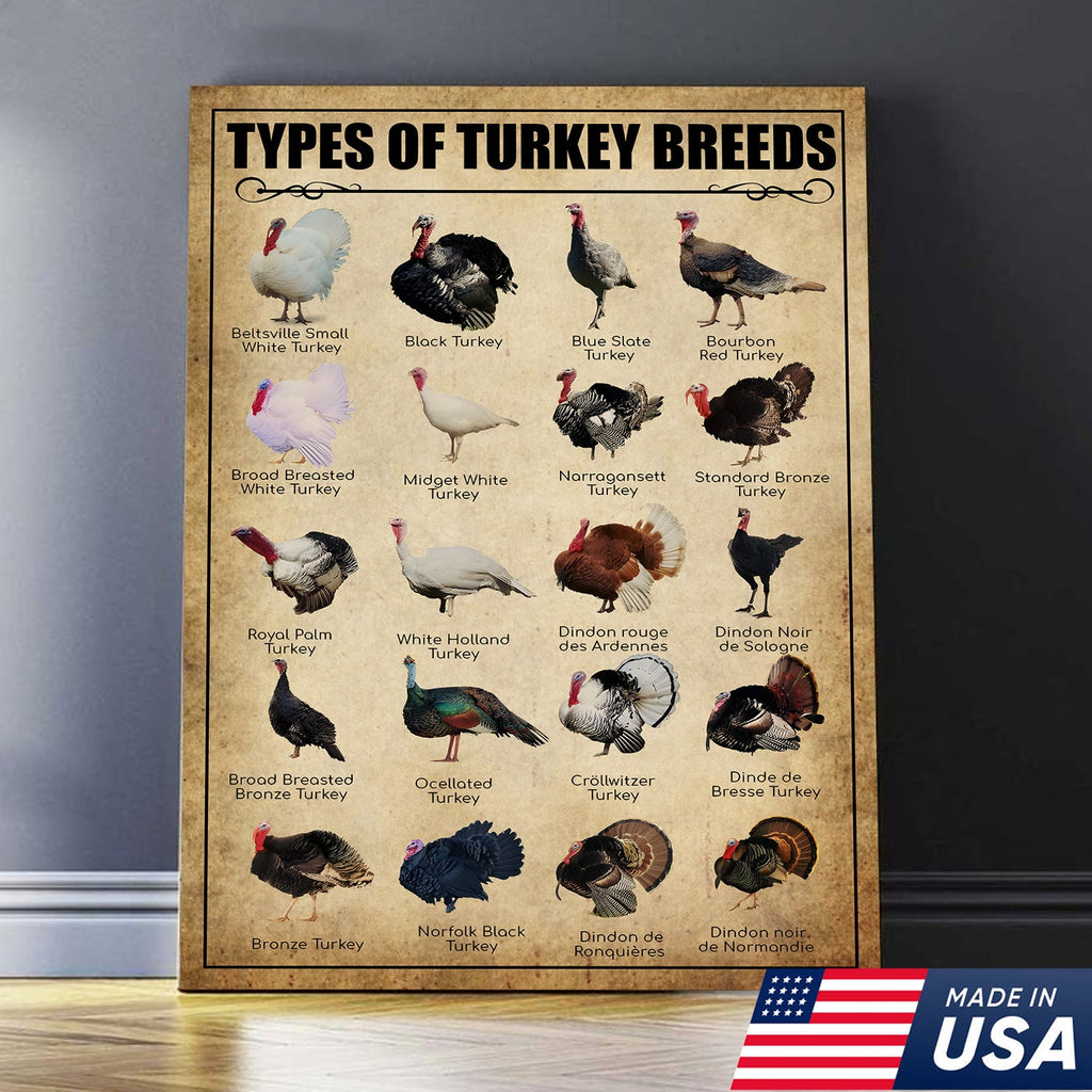 Turkey Breeds Knowlegde Canvas Wall Art – Farmhouse Poultry Guide Print – Rustic Country Decor