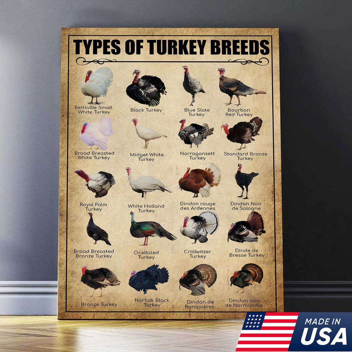 Turkey Breeds Knowlegde Canvas Wall Art – Farmhouse Poultry Guide Print – Rustic Country Decor