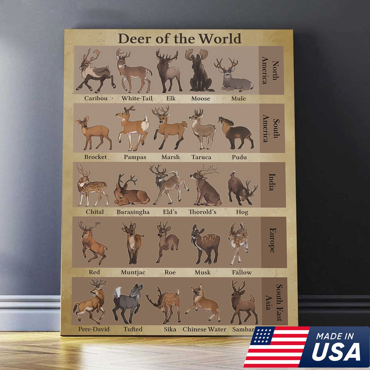 Deer of the World Canvas, Deer Species Educational Chart Wall Art, Kids Classroom & Wildlife Decor