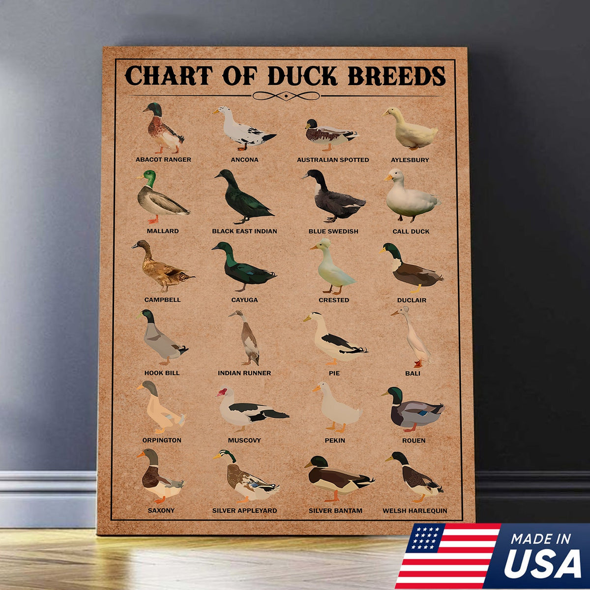 Duck Breed Chart Wall Art – Educational Farmhouse Rustic Canvas Decor