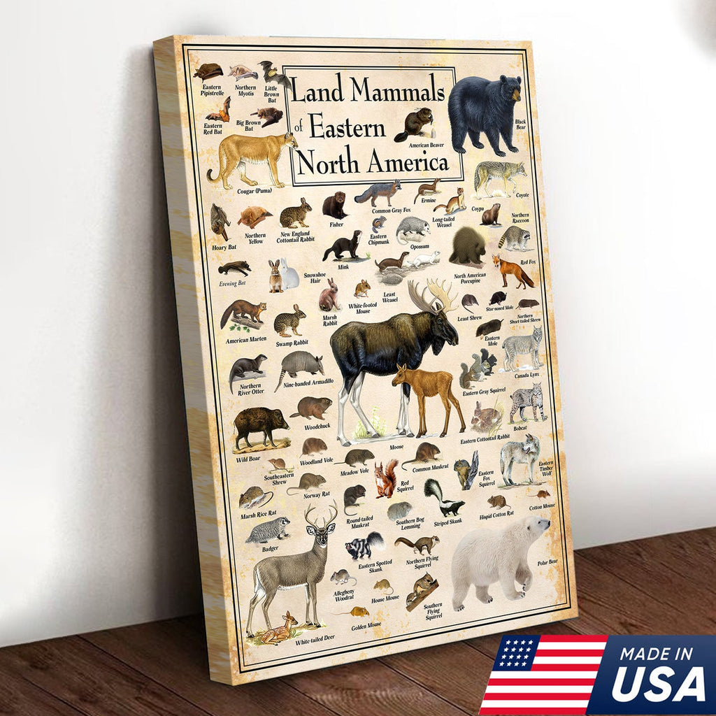 Educational Land Mammals of Eastern North America Canvas Wall Art – Vintage Wildlife Nature Canvas