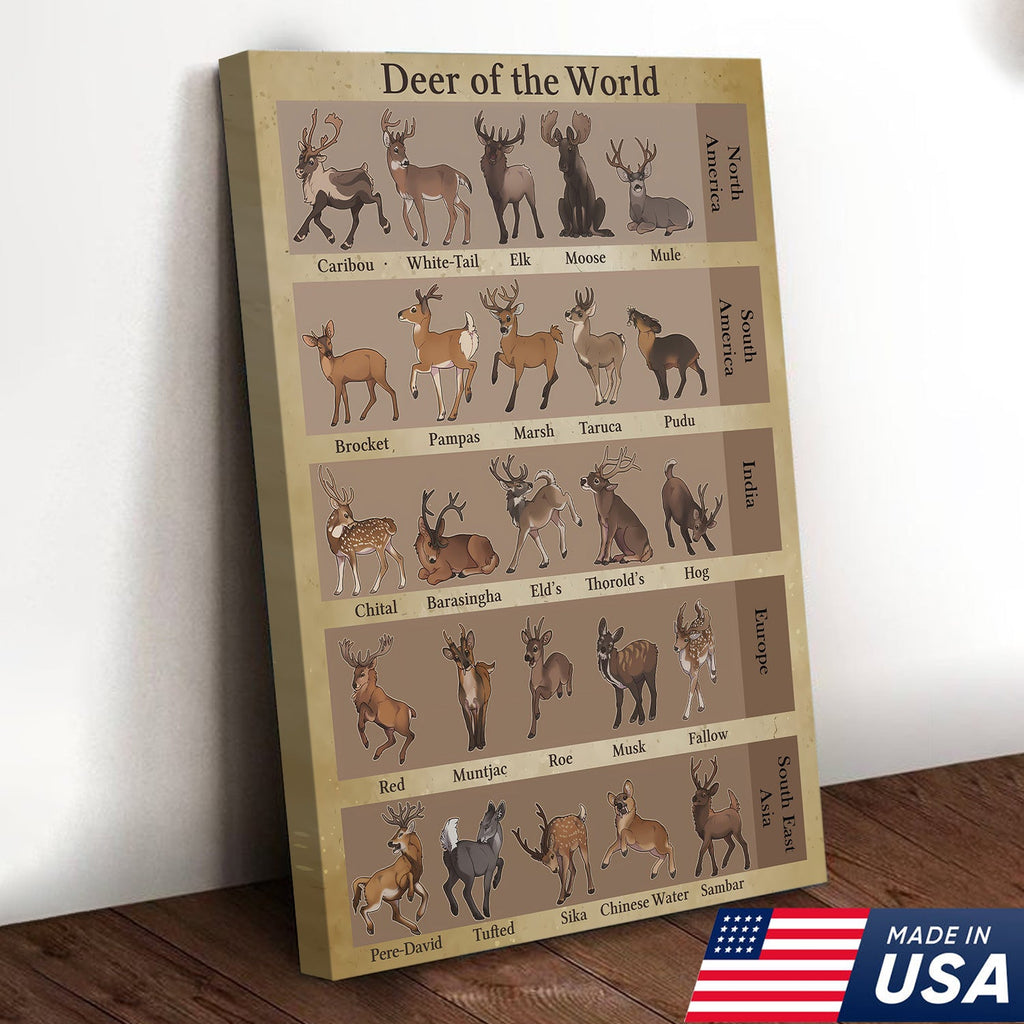 Deer of the World Canvas, Deer Species Educational Chart Wall Art, Kids Classroom & Wildlife Decor