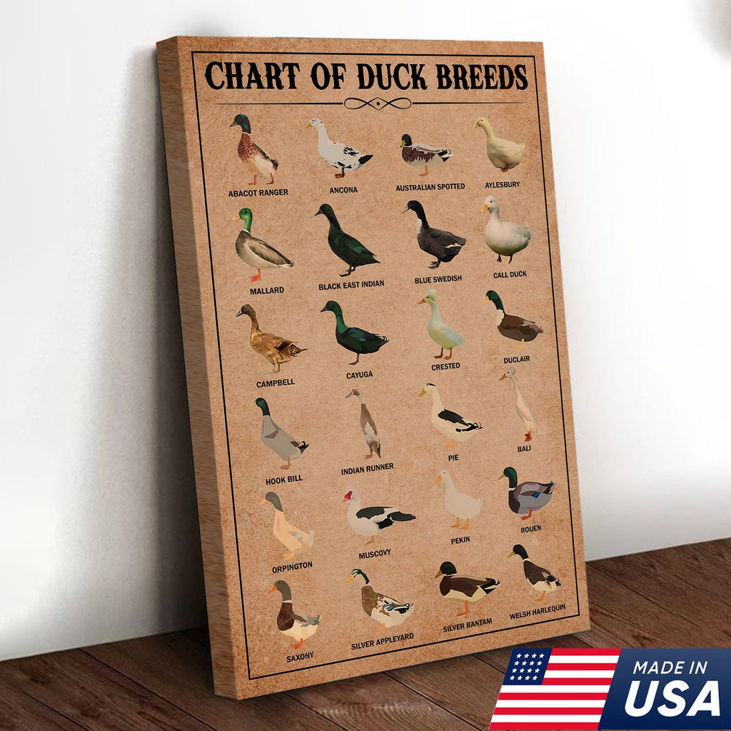 Duck Breed Chart Wall Art – Educational Farmhouse Rustic Canvas Decor