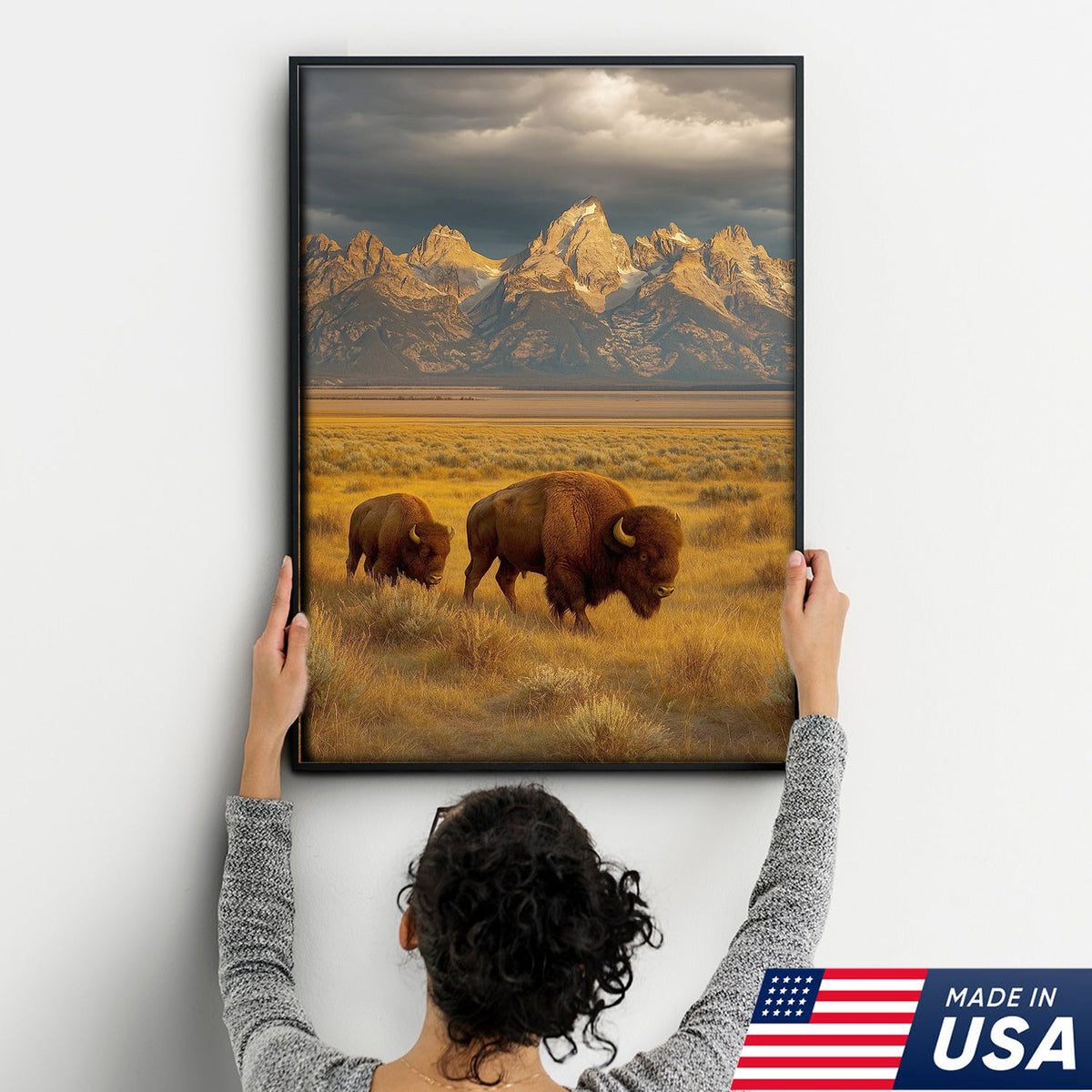Buffalo Bison Canvas Wall Art, Grand Teton Mountain Landscape Print