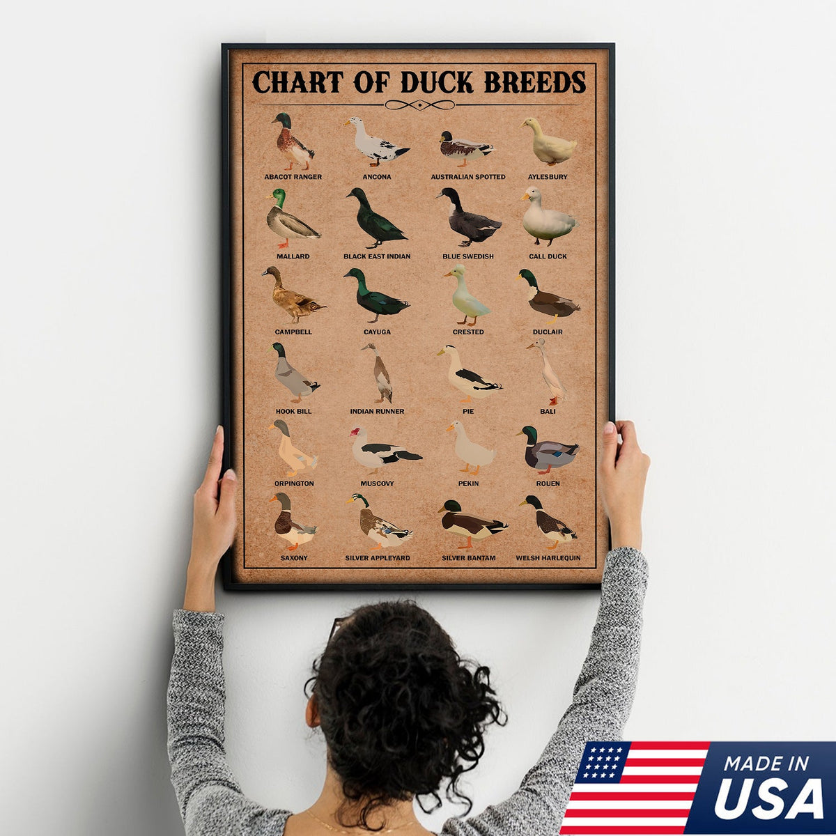 Duck Breed Chart Wall Art – Educational Farmhouse Rustic Canvas Decor