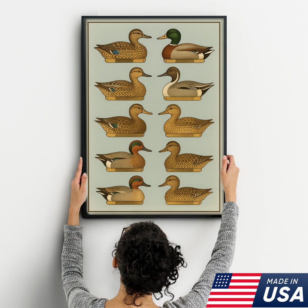 Duck Species Identification Canvas Wall Art – Rustic Hunting Lodge Decor for Hunters & Bird Lovers