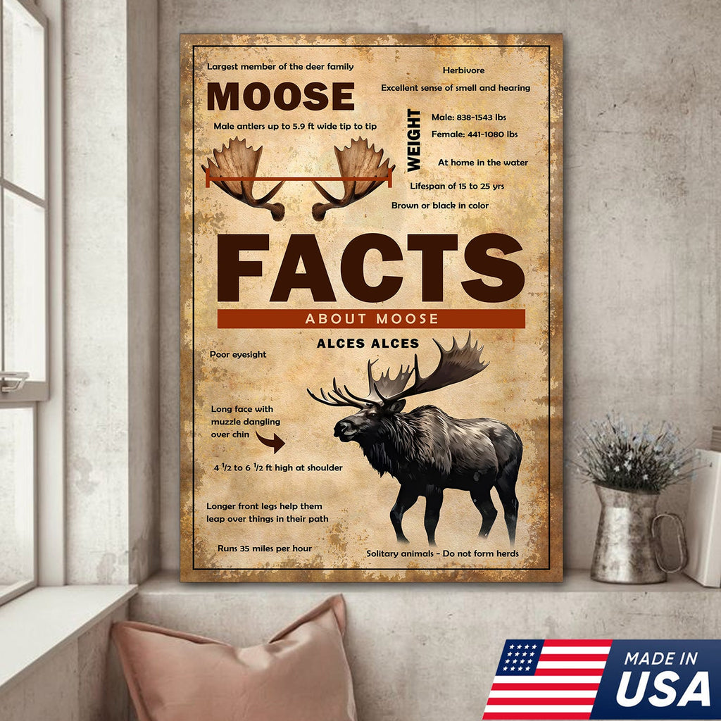 Moose Facts Wall Art Canvas – Educational Wildlife Wall Art for Hunters, Cabin & Nature Lovers