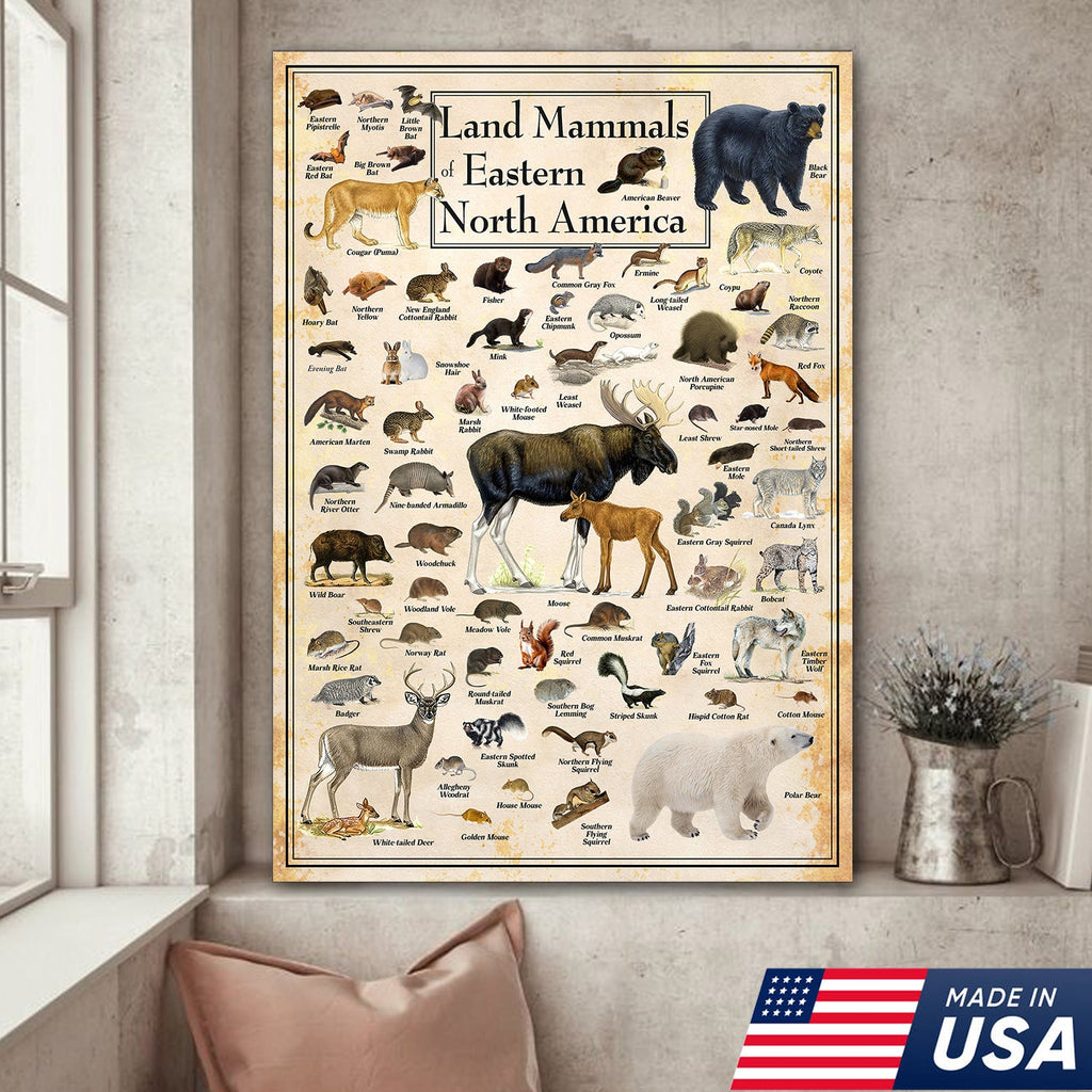 Educational Land Mammals of Eastern North America Canvas Wall Art – Vintage Wildlife Nature Canvas