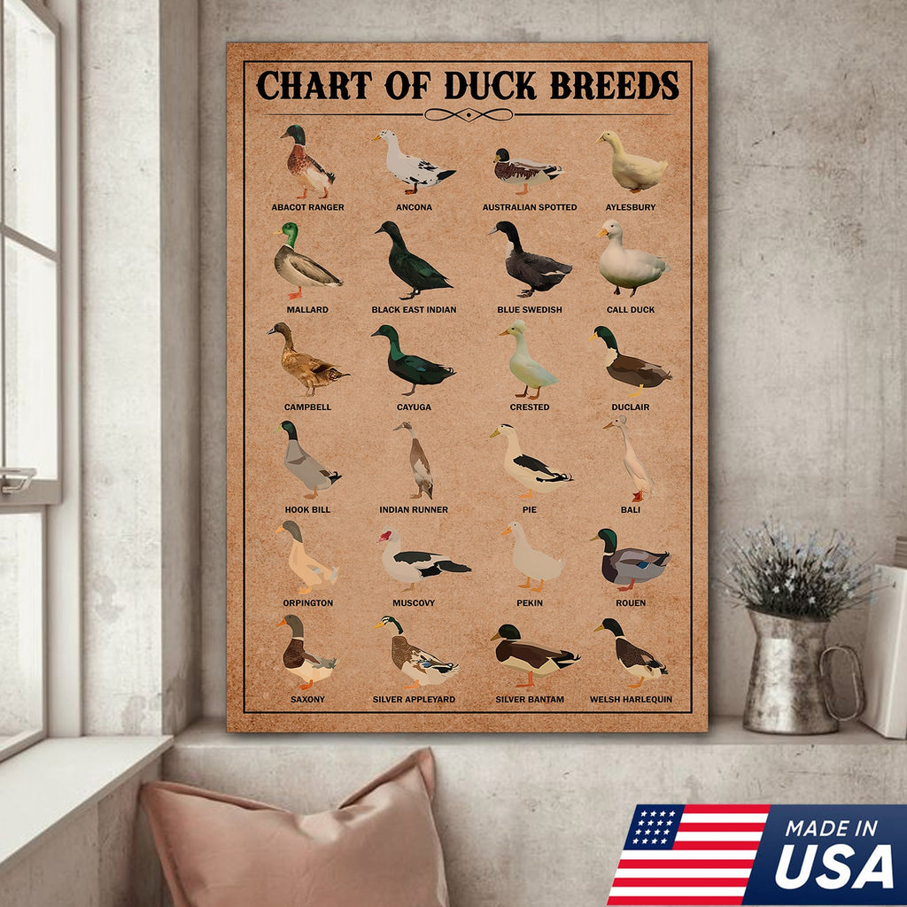 Duck Breed Chart Wall Art – Educational Farmhouse Rustic Canvas Decor
