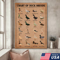 Duck Breed Chart Wall Art – Educational Farmhouse Rustic Canvas Decor