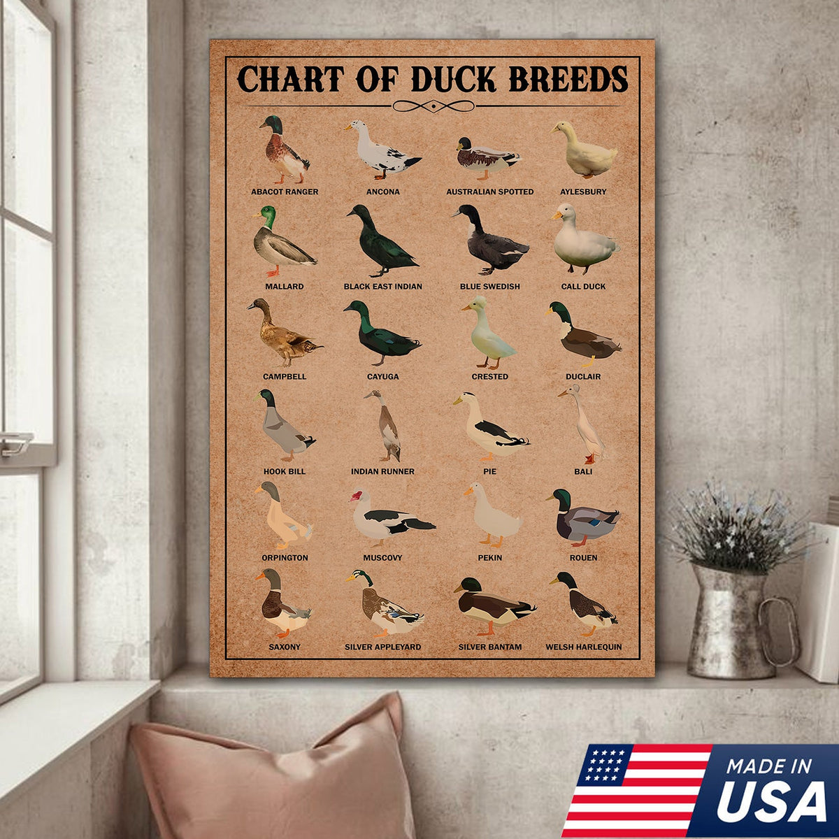 Duck Breed Chart Wall Art – Educational Farmhouse Rustic Canvas Decor