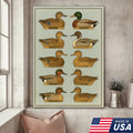 Duck Species Identification Canvas Wall Art – Rustic Hunting Lodge Decor for Hunters & Bird Lovers