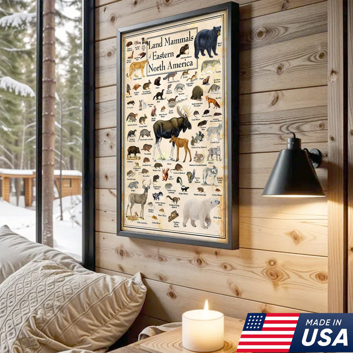 Educational Land Mammals of Eastern North America Canvas Wall Art – Vintage Wildlife Nature Canvas