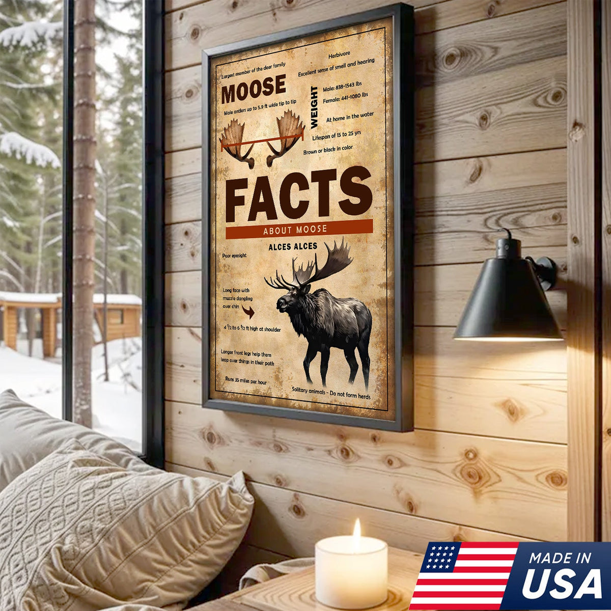 Moose Facts Wall Art Canvas – Educational Wildlife Wall Art for Hunters, Cabin & Nature Lovers