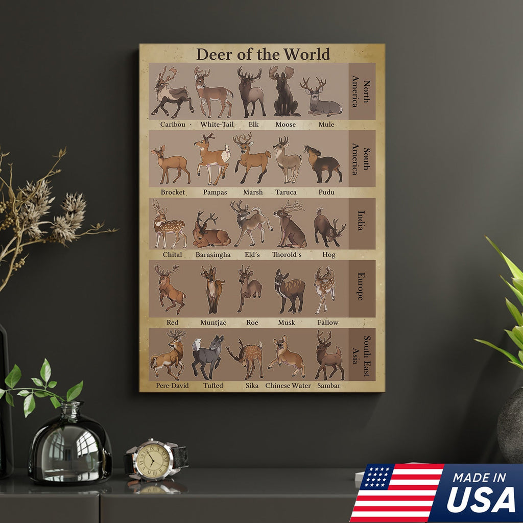 Deer of the World Canvas, Deer Species Educational Chart Wall Art, Kids Classroom & Wildlife Decor