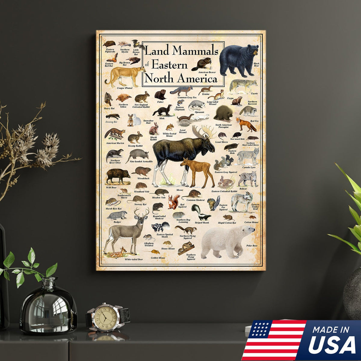 Educational Land Mammals of Eastern North America Canvas Wall Art – Vintage Wildlife Nature Canvas