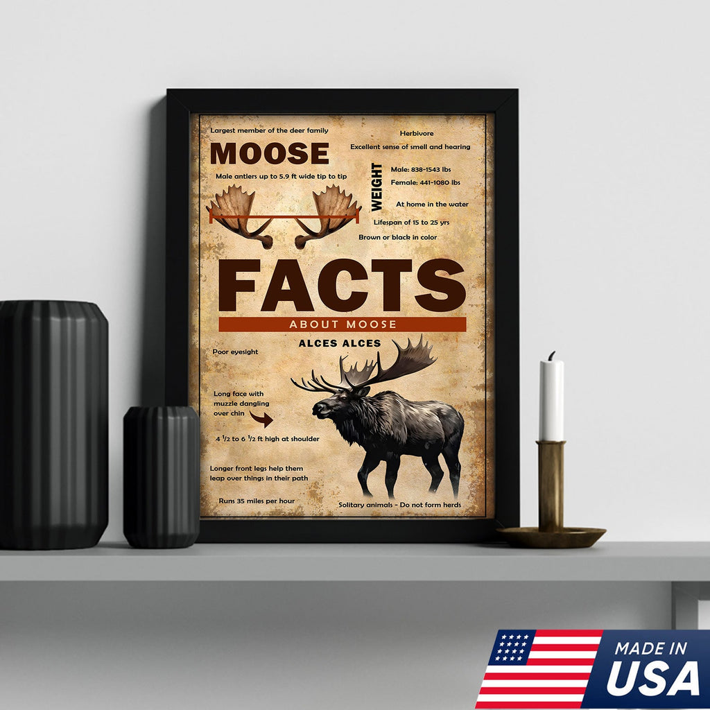 Moose Facts Wall Art Canvas – Educational Wildlife Wall Art for Hunters, Cabin & Nature Lovers