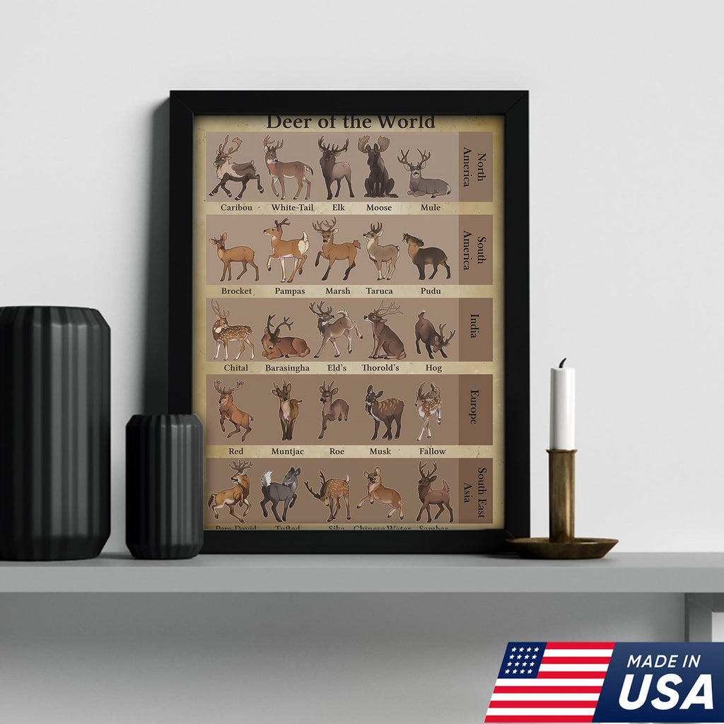 Deer of the World Canvas, Deer Species Educational Chart Wall Art, Kids Classroom & Wildlife Decor