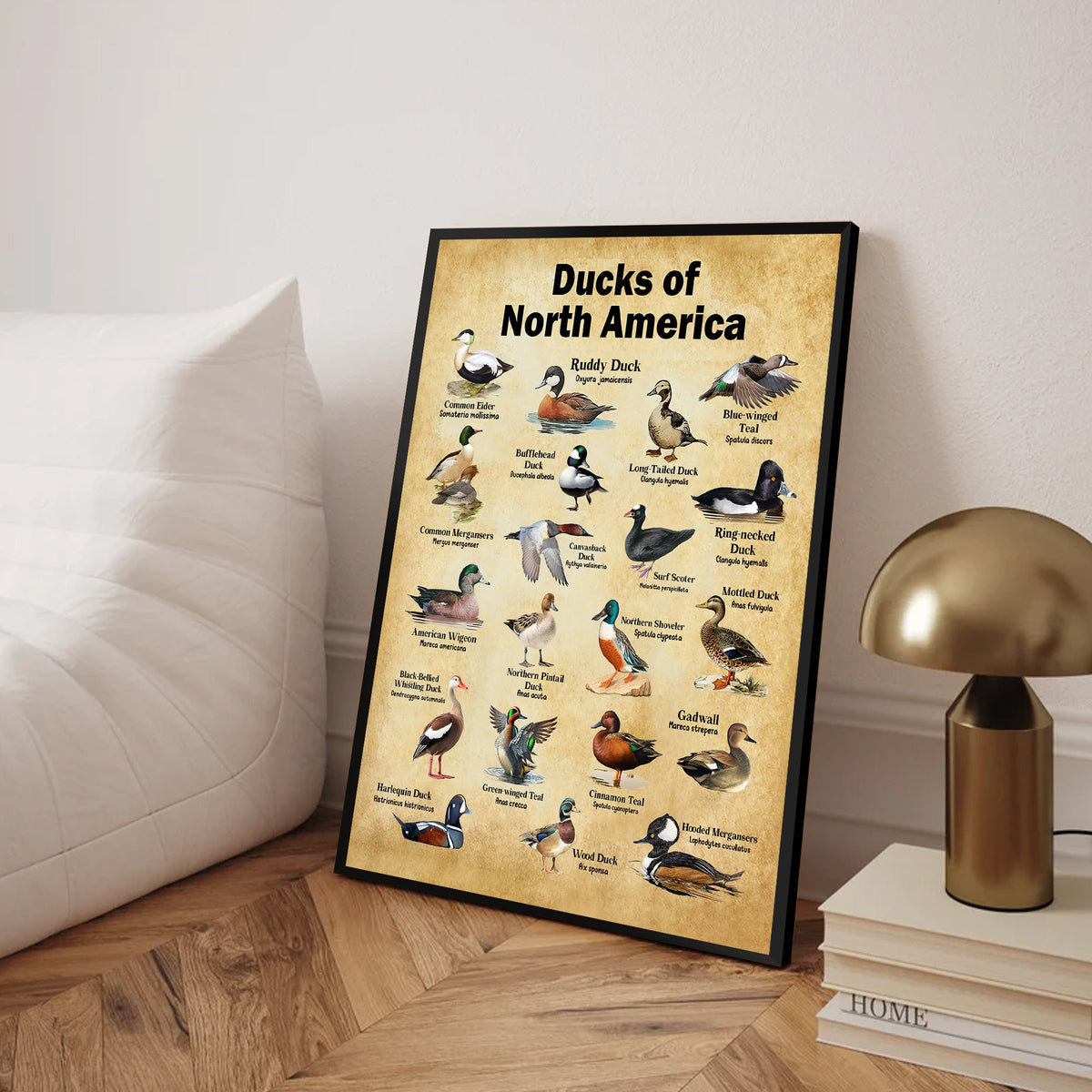 Ducks of North America Canvas – Educational Wall Art for Hunters & Nature Lovers