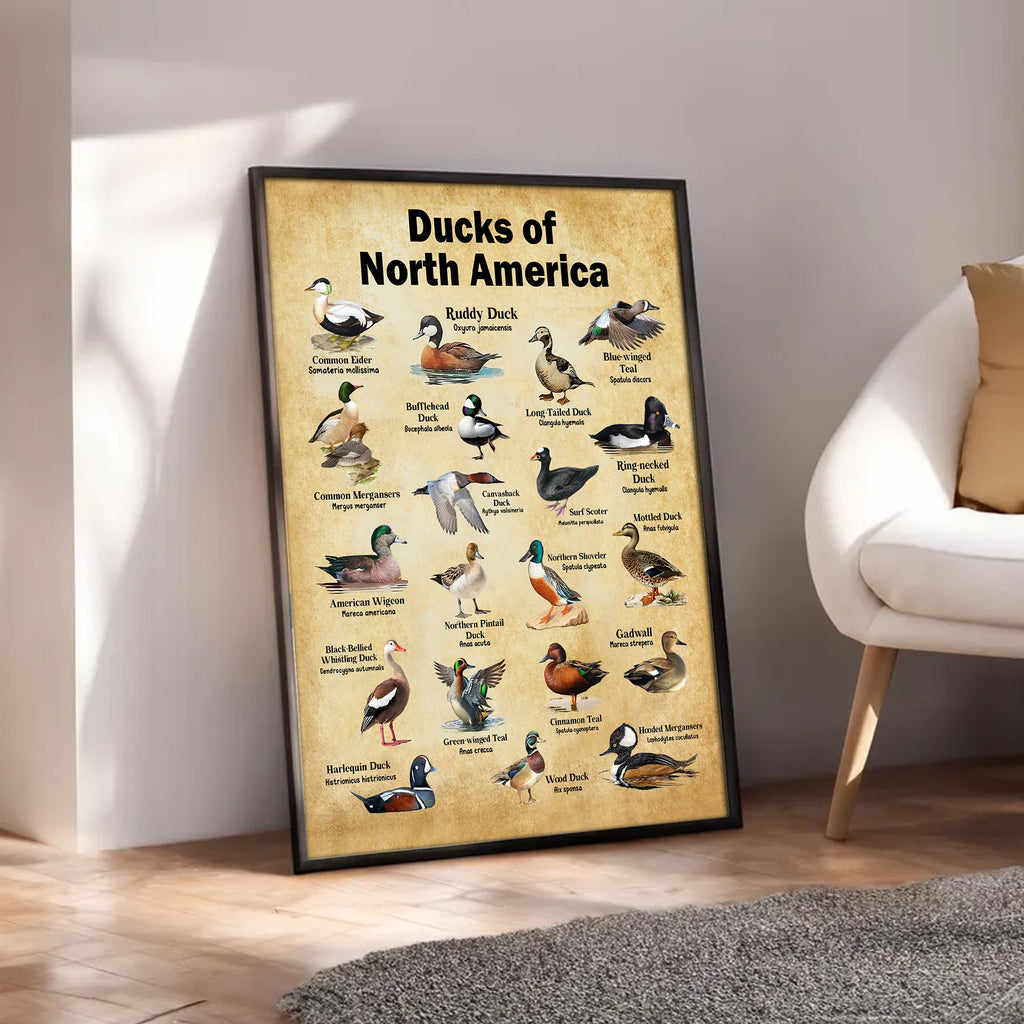 Ducks of North America Canvas – Educational Wall Art for Hunters & Nature Lovers
