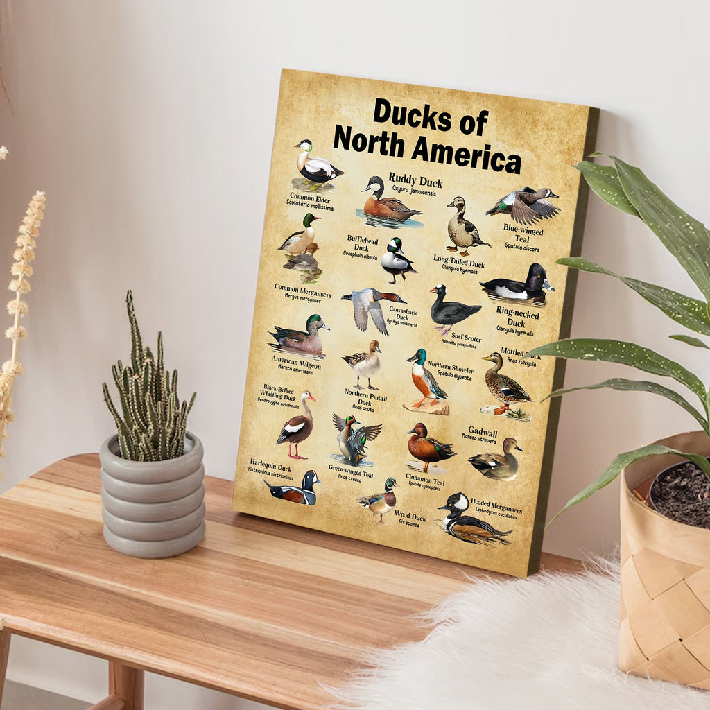 Ducks of North America Canvas – Educational Wall Art for Hunters & Nature Lovers