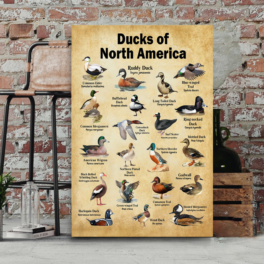 Ducks of North America Canvas – Educational Wall Art for Hunters & Nature Lovers