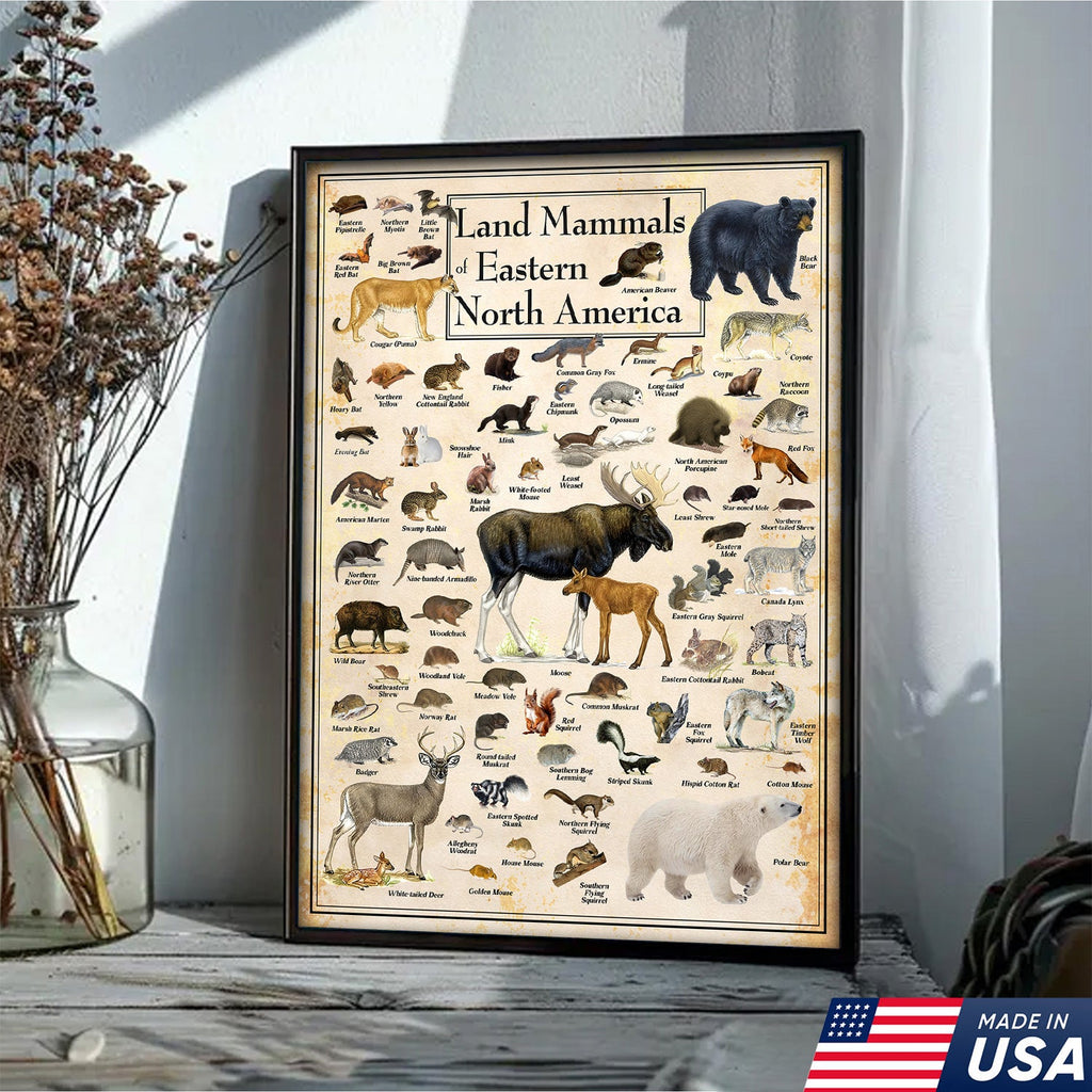 Educational Land Mammals of Eastern North America Canvas Wall Art – Vintage Wildlife Nature Canvas