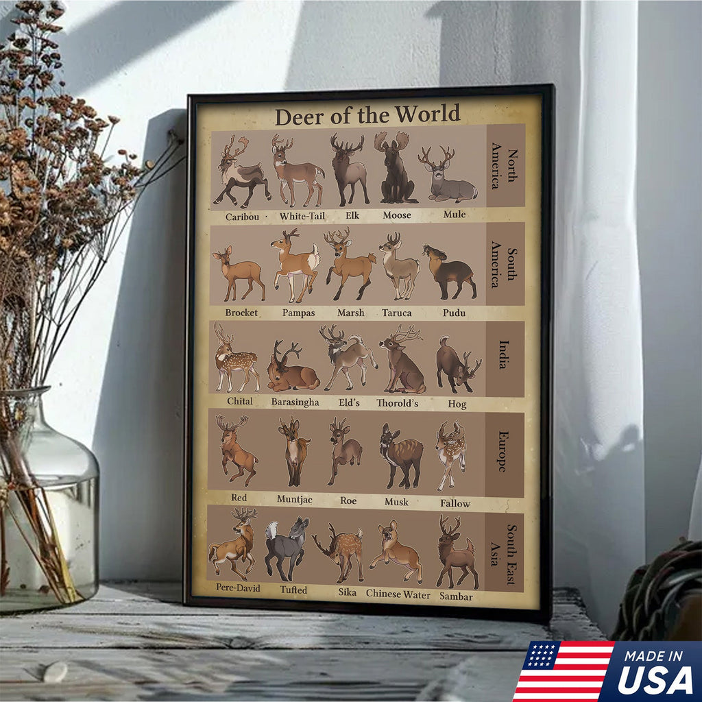 Deer of the World Canvas, Deer Species Educational Chart Wall Art, Kids Classroom & Wildlife Decor