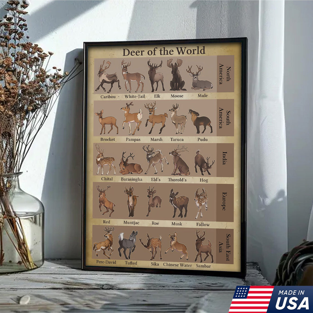 Deer of the World Canvas, Deer Species Educational Chart Wall Art, Kids Classroom & Wildlife Decor