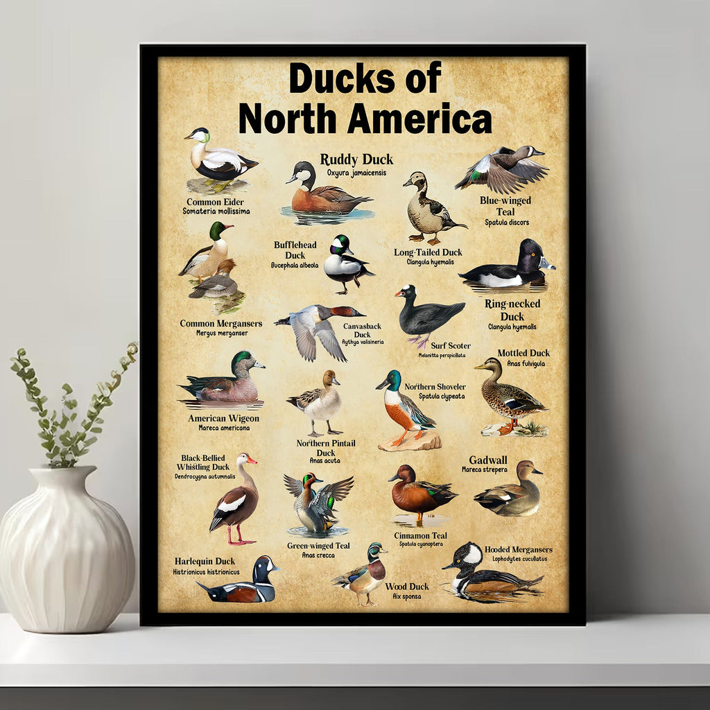 Ducks of North America Canvas – Educational Wall Art for Hunters & Nature Lovers