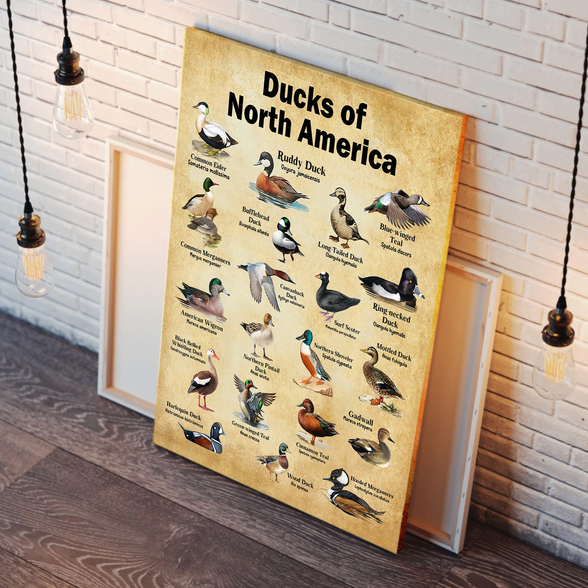 Ducks of North America Canvas – Educational Wall Art for Hunters & Nature Lovers