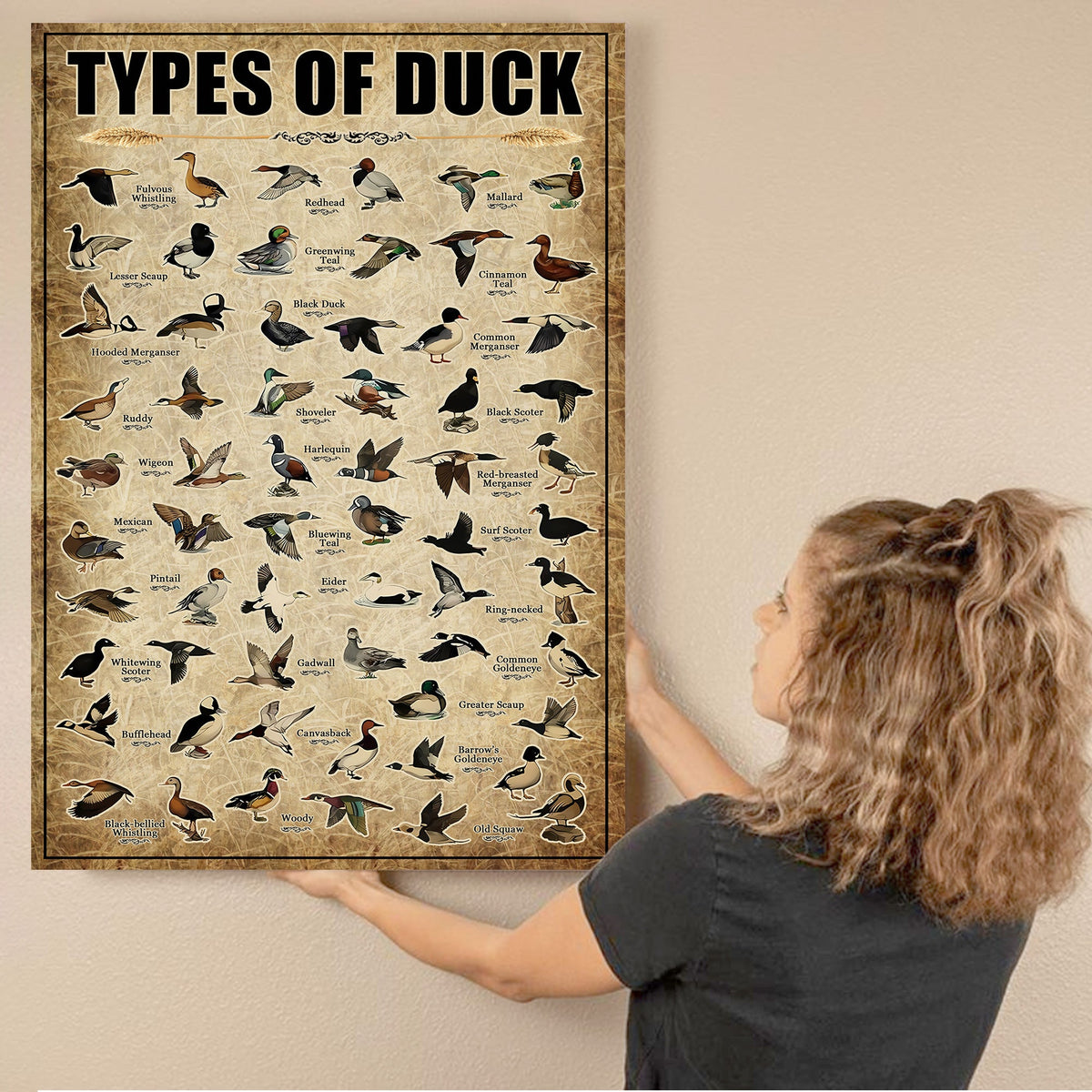 Types of Duck Canvas – Educational Waterfowl Chart Wall Art - Hunting Lodge or Nature Decor