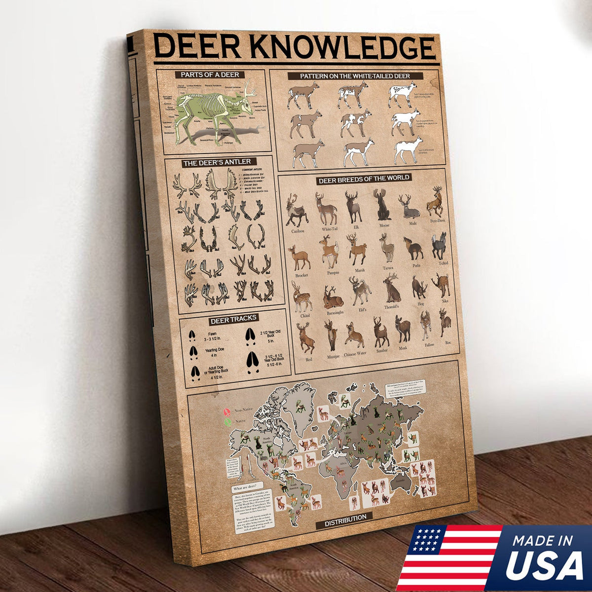 Deer Knowledge Canvas – Anatomy, Antlers, Tracks & Breeds Educational Wall Art