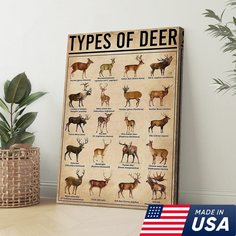 Types of Deer Canvas – Educational Deer Hunting Wall Art & Wildlife Guide, Perfect Decor for Hunters